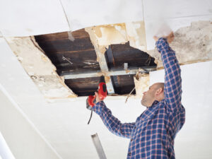 Summer Restoration Jobs in Indianapolis, IN: Protecting Your Property from Seasonal Hazards