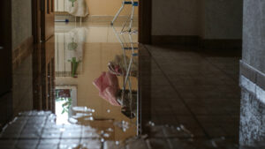How to Tell If Water Damage Is New or Old